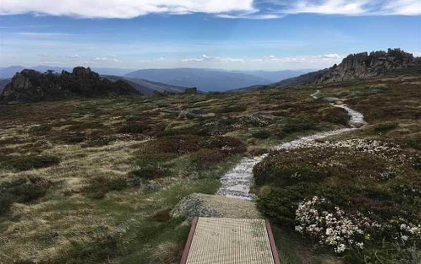 Thredbo Valley Track, Crackenback, NSW