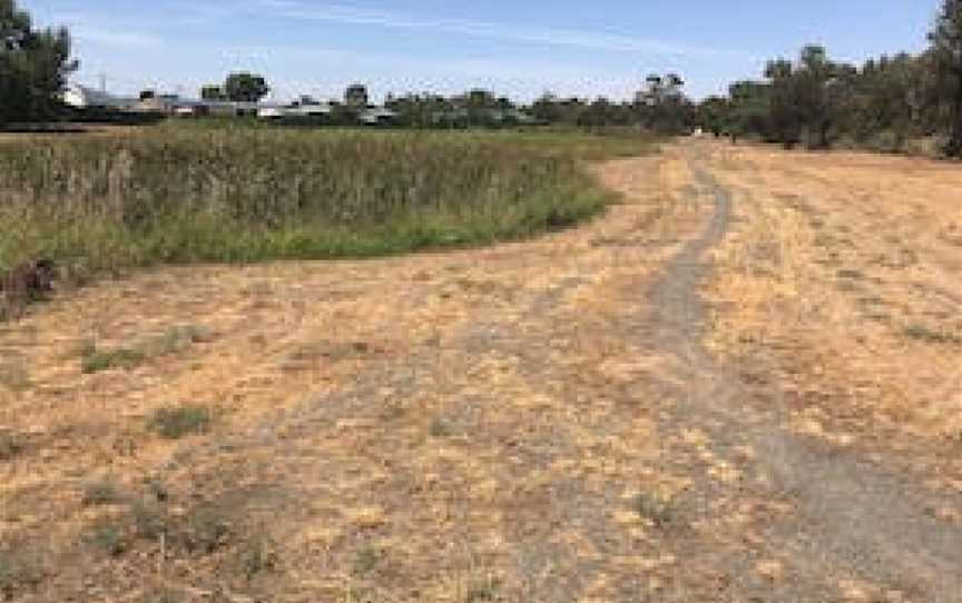 Tiddalik Wetlands and Bird Sanctuary, Darlington Point, NSW