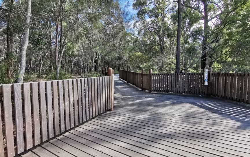 Tingalpa Creek Reserve, Ransome, QLD