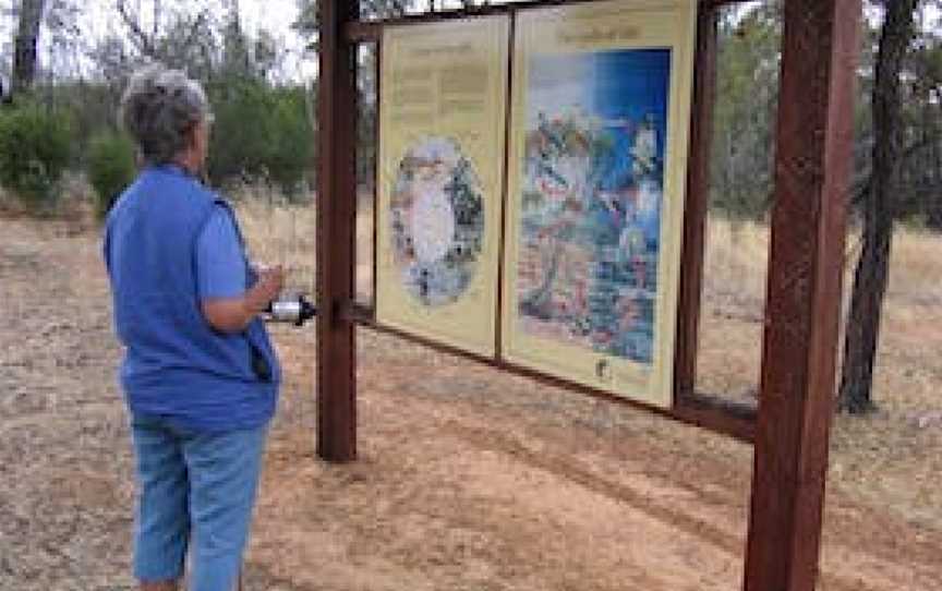 Totadgin Conservation Park, Nangeenan, WA