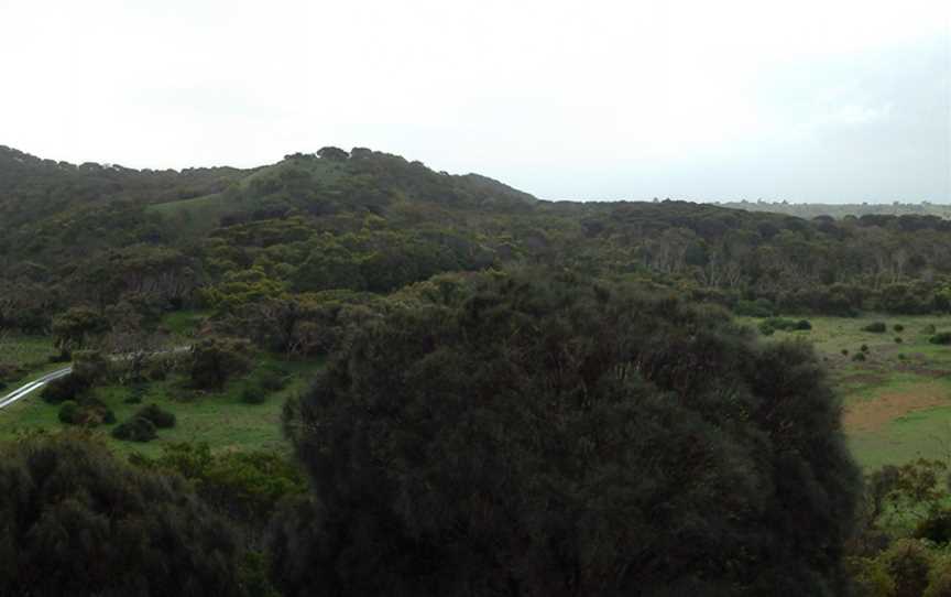 Tower Hill Wildlife Reserve, Tower Hill, VIC