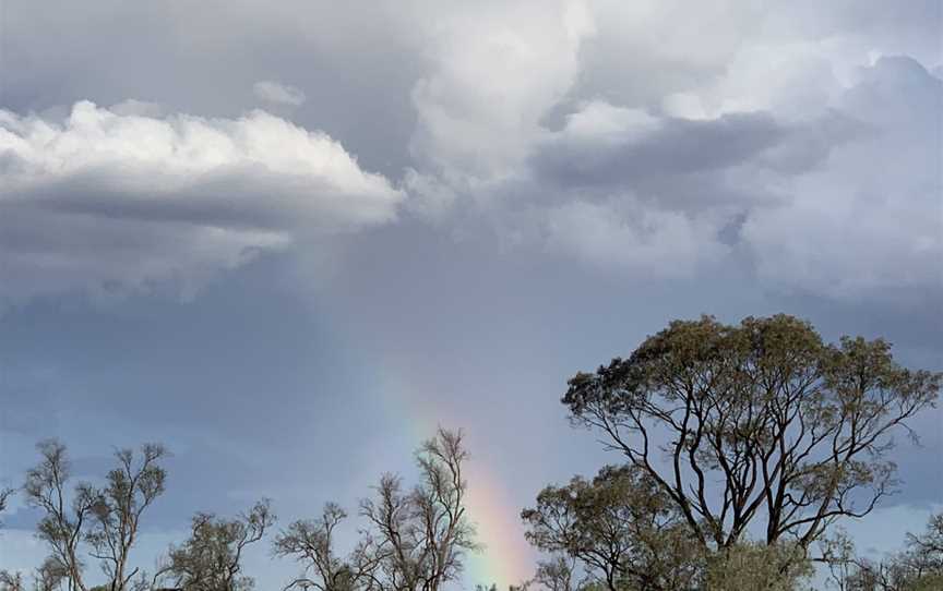 Tregole National Park, Morven, QLD