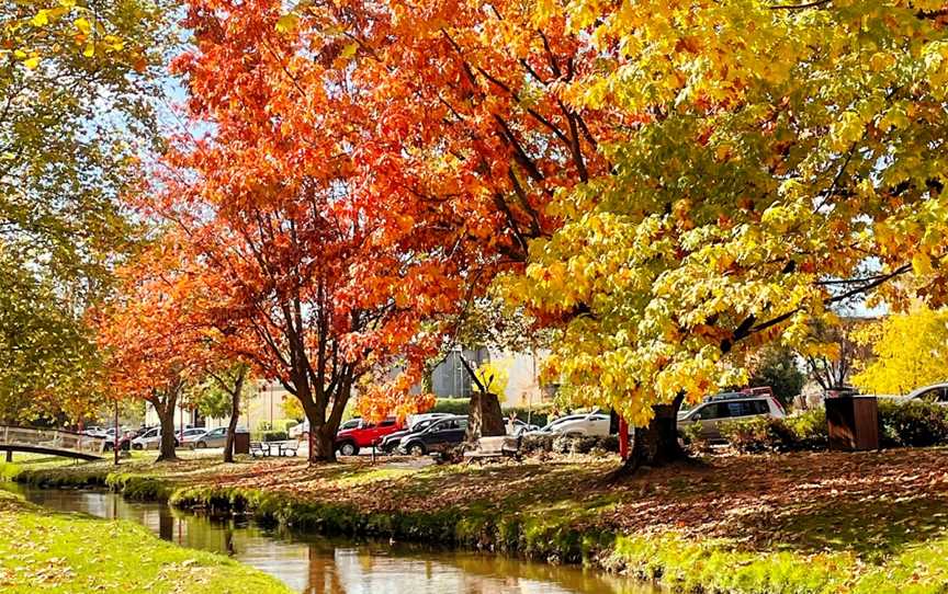 Tumbarumba - Rosewood Rail Trail, Tumbarumba, NSW