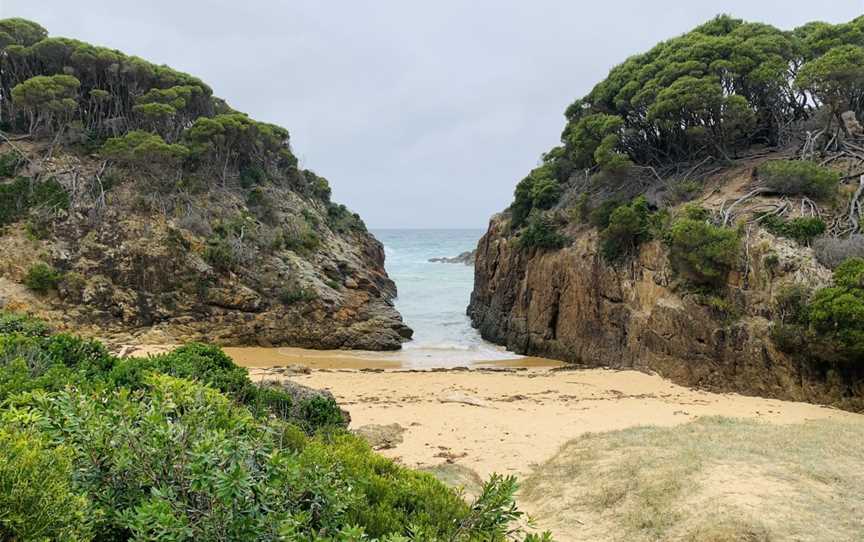 Turingal Head picnic area, Wallagoot, NSW