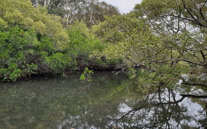 Tweed Heads Historic Site, Tweed Heads South, NSW