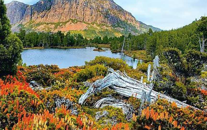 Walls of Jerusalem National Park, Nature & Trails in Walls Of Jerusalem