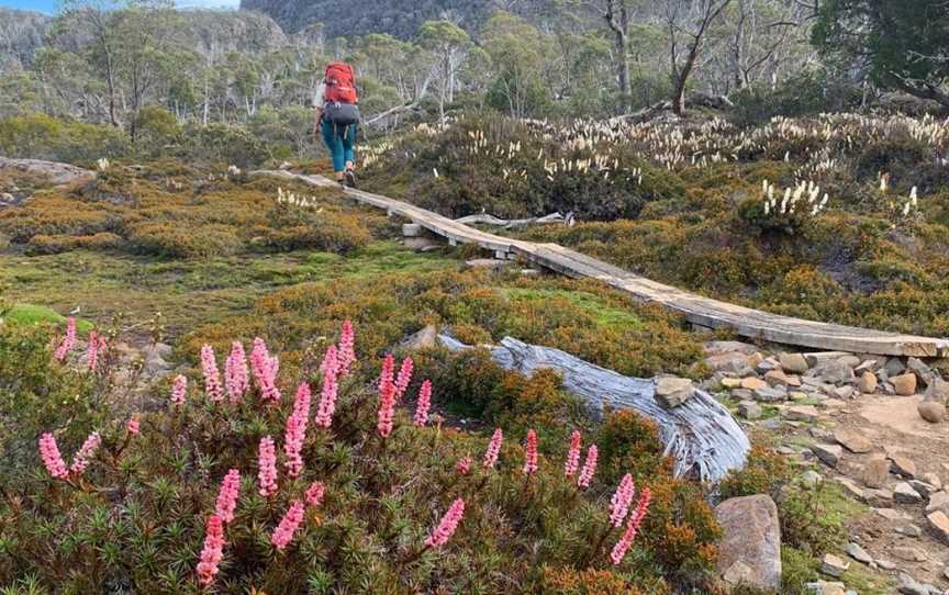 Walls of Jerusalem National Park, Nature & Trails in Walls Of Jerusalem