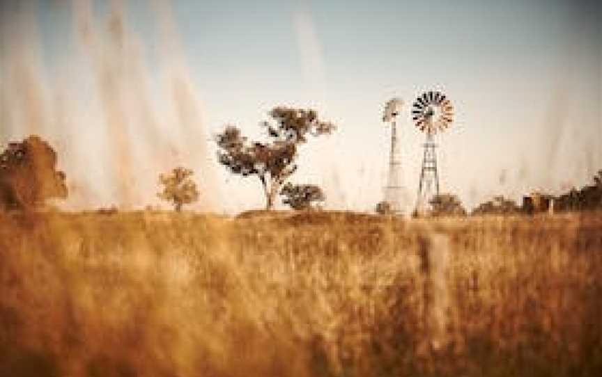 Wangaratta to Everton Station (Murray to the Mountains Rail Trail), Everton Upper, VIC