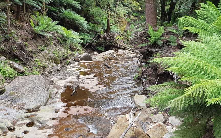 Westmorland Falls, Caveside, TAS