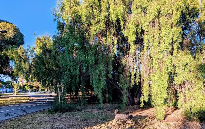 Westside Bikeway, North Plympton, SA