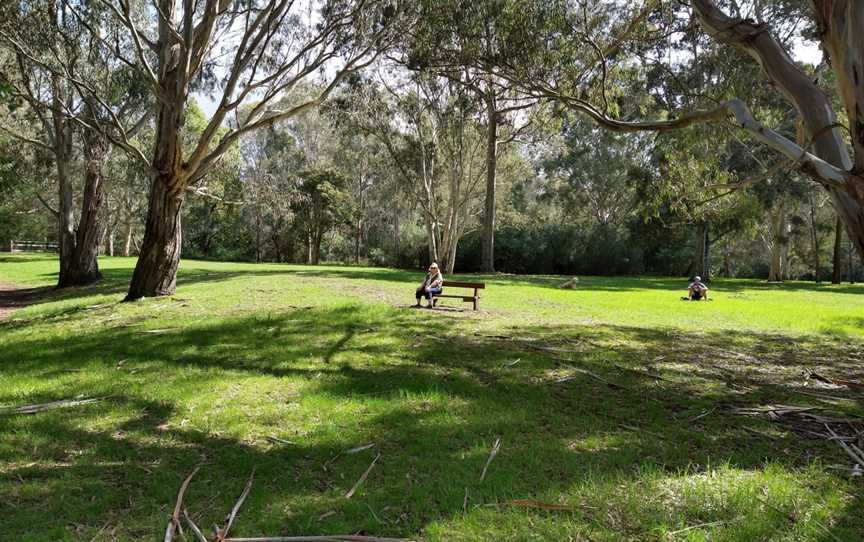 Willsmere Park (kew Billabong), Kew East, VIC