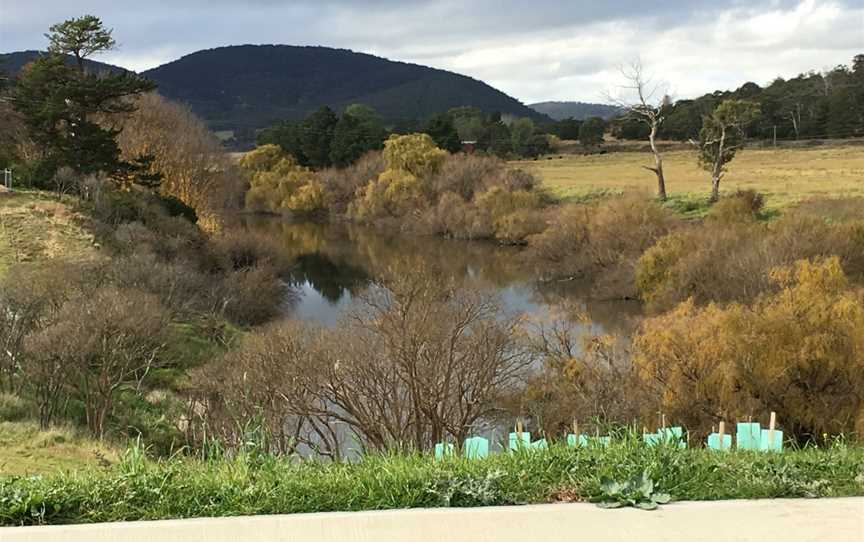 Wollondilly River Walkway, Goulburn, NSW