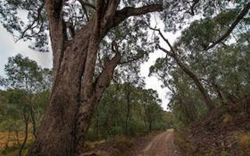 Yanununbeyan State Conservation Area, Captains Flat, NSW