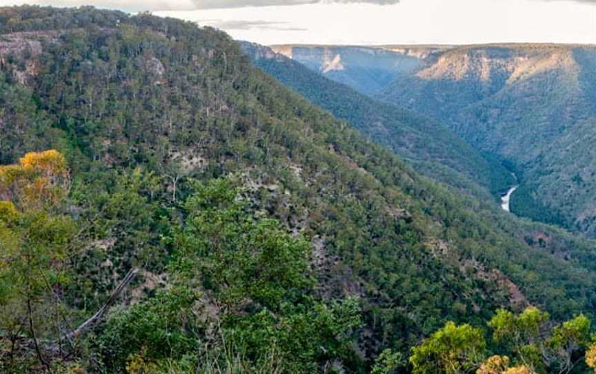 Badgerys Spur Walking Track, Tallong, NSW