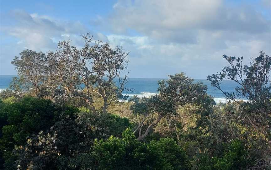 Dirawong Reserve, Evans Head, NSW