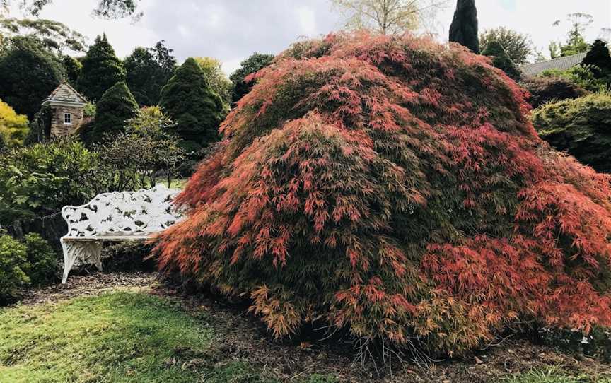 Merry Garth Garden, Nature & Trails in Mount Wilson