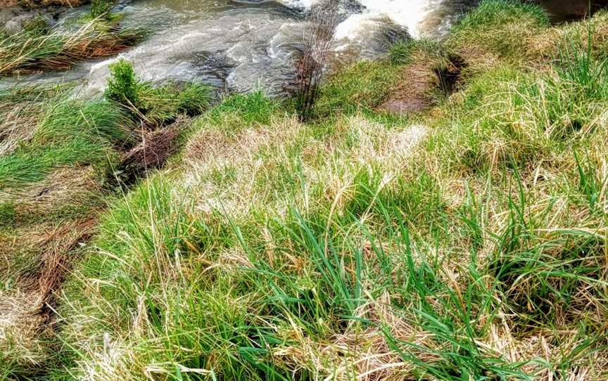 Steele Creek Trail, Keilor, VIC