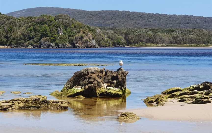 Walpole-Nornalup Inlet, Walpole, WA