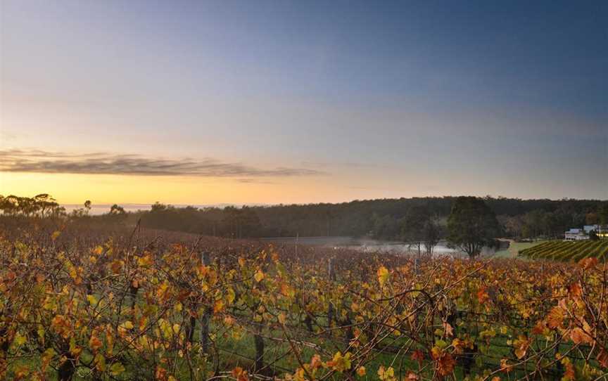 Margaret River Wine Association, Business Directory in Margaret River