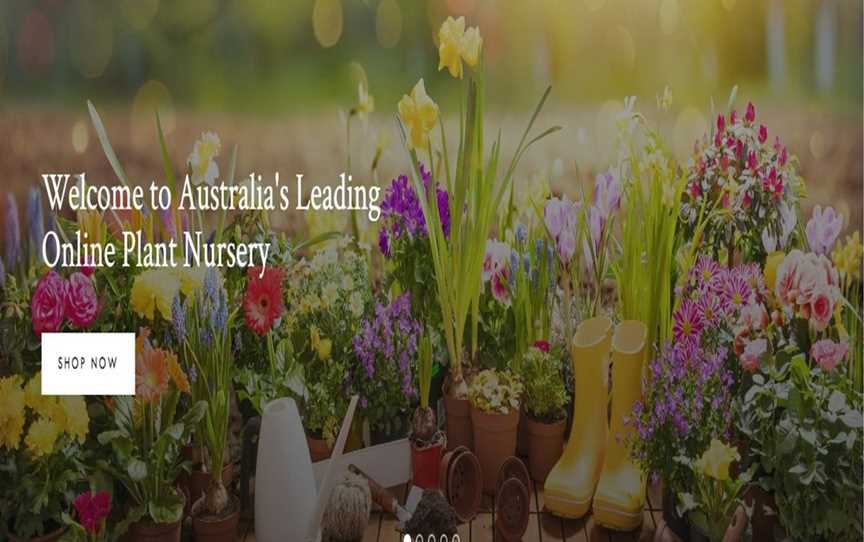 Online Plants, Business directory in Eltham North