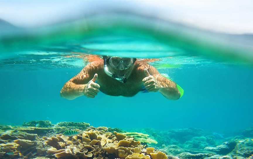 Cape Dive, Tours in Dunsborough