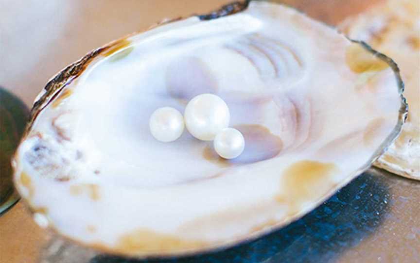 Willie Creek Pearls Tours, Tours in Broome