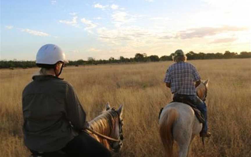 Birdwood Downs Horseriding, Tours in Derby