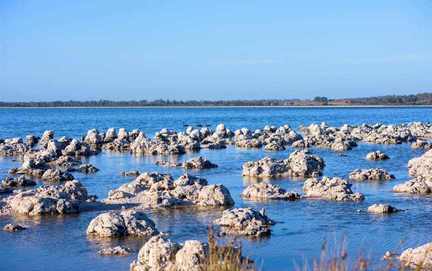 Lake Walyungup & Lake Richmond Torchlight Tours, Tours in Rockingham