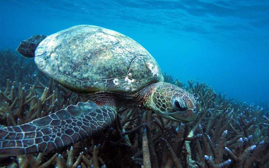 Mackerel Islands Tours, Tours in Onslow