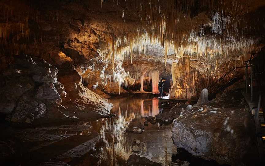 Lake Cave, Tours in Forest Grove