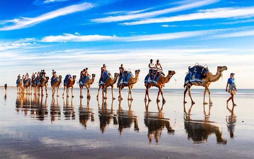 Broome Camel Safaris, Tours in Broome