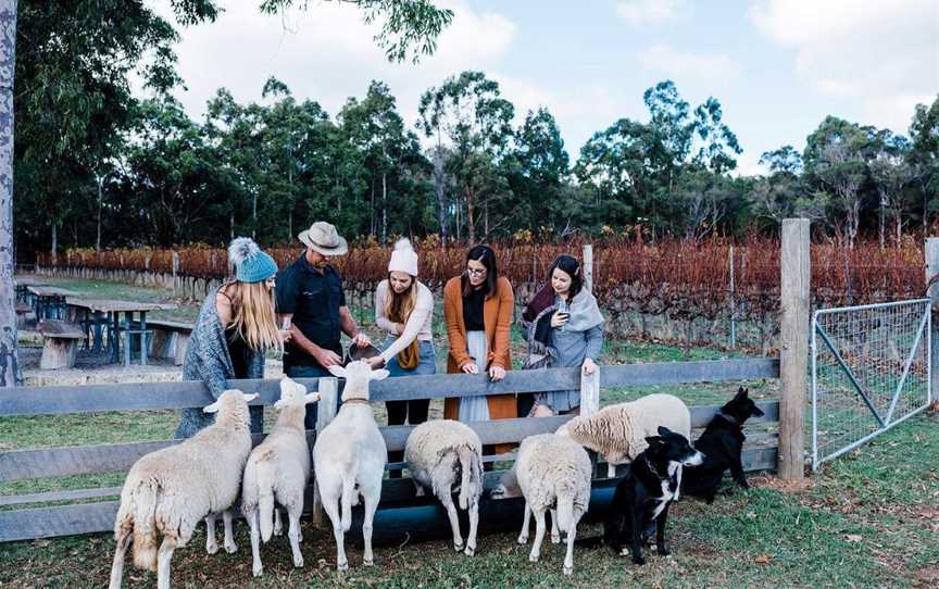 Glenarty Road Farm and Feast Tours