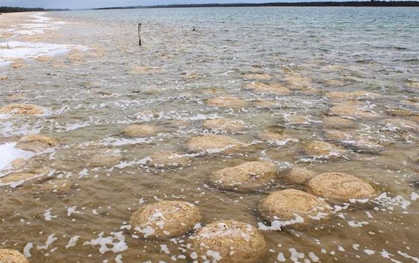 Salt and Bush - Thrombolite Discovery Tours, Tours in Preston Beach