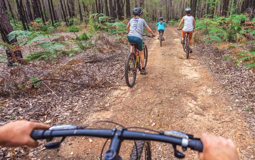 Dwellingup Adventures, Tours in Dwellingup