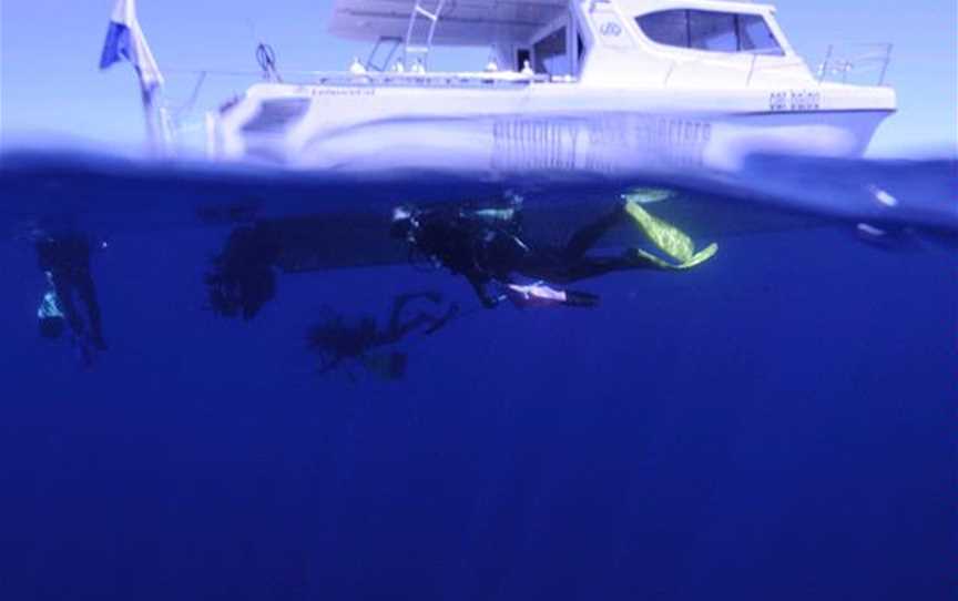 Coastal Water Dive, Tours in Bunbury