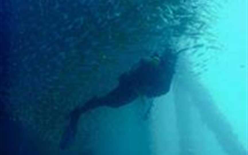 Coastal Water Dive, Tours in Bunbury