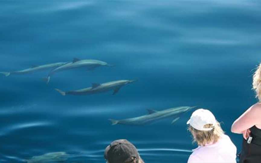 Ocean Eco Adventure Tours, Tours in Exmouth