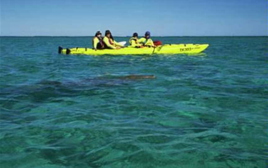 Capricorn Seakayaking, Tours in Exmouth - Suburb