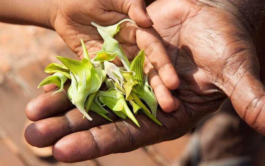 Bundy's Cultural Tours, Tours in Cape Leveque