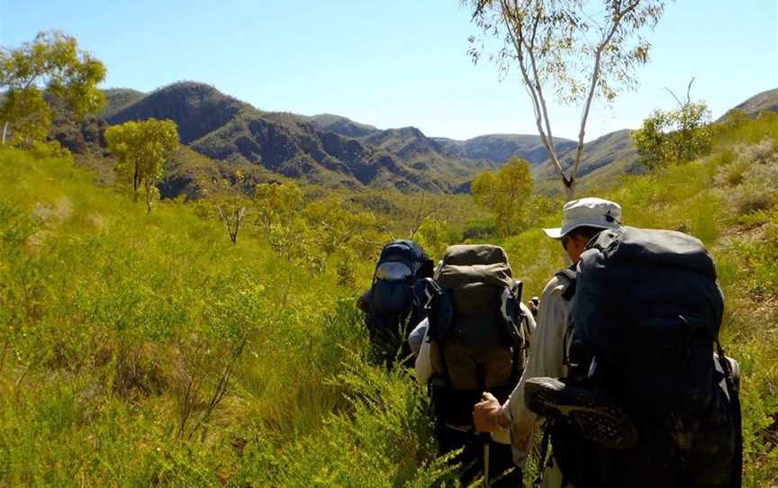 Black Tracks, Tours in Durack