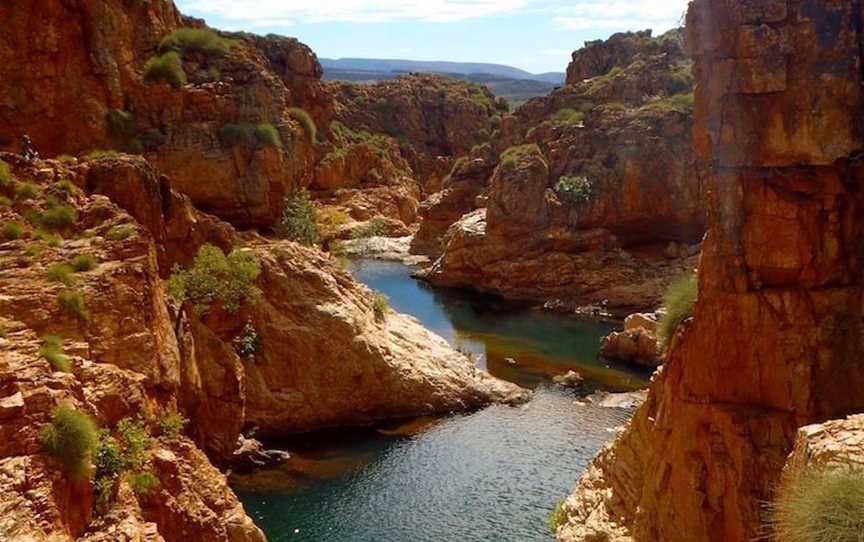 Black Tracks, Tours in Durack