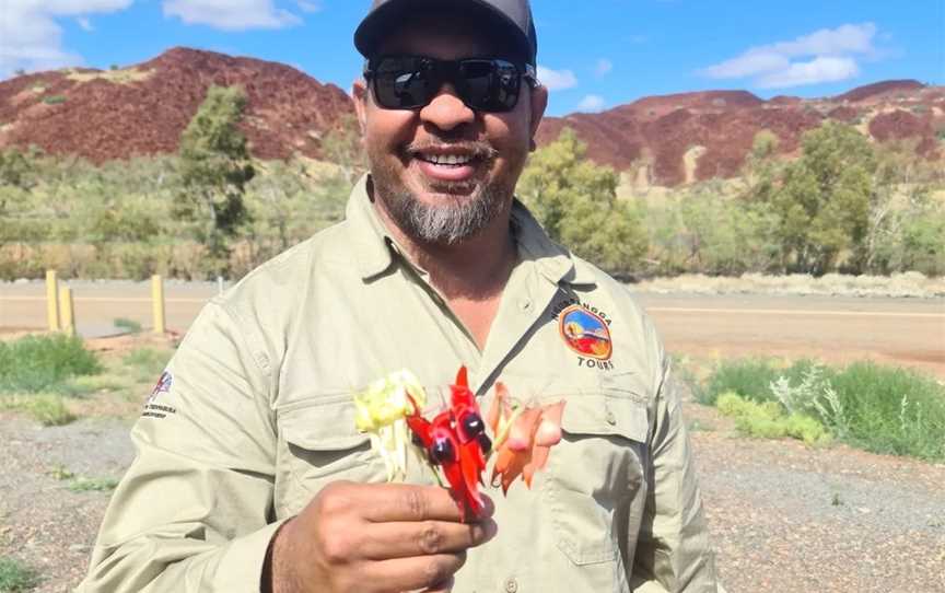 Bush Tucker Tour, Tours in Burrup