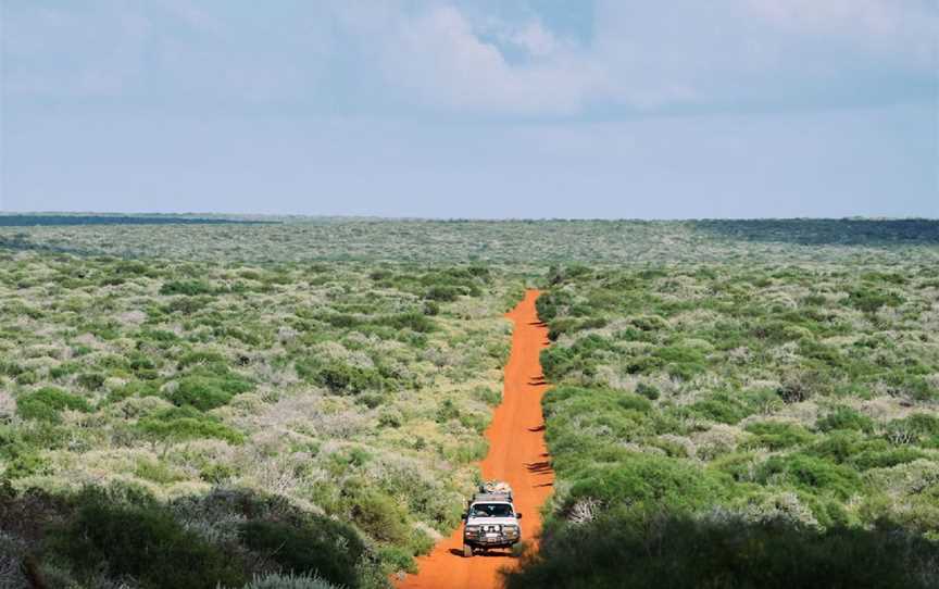 Francois Peron 4WD Tour, Tours in Francois Peron National Park