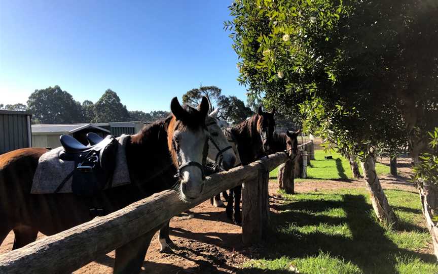 The Horse Resort, Margaret River, WA