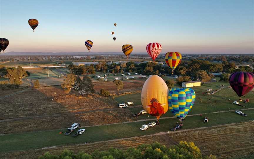 Brown Brothers Winery, Milawa, VIC