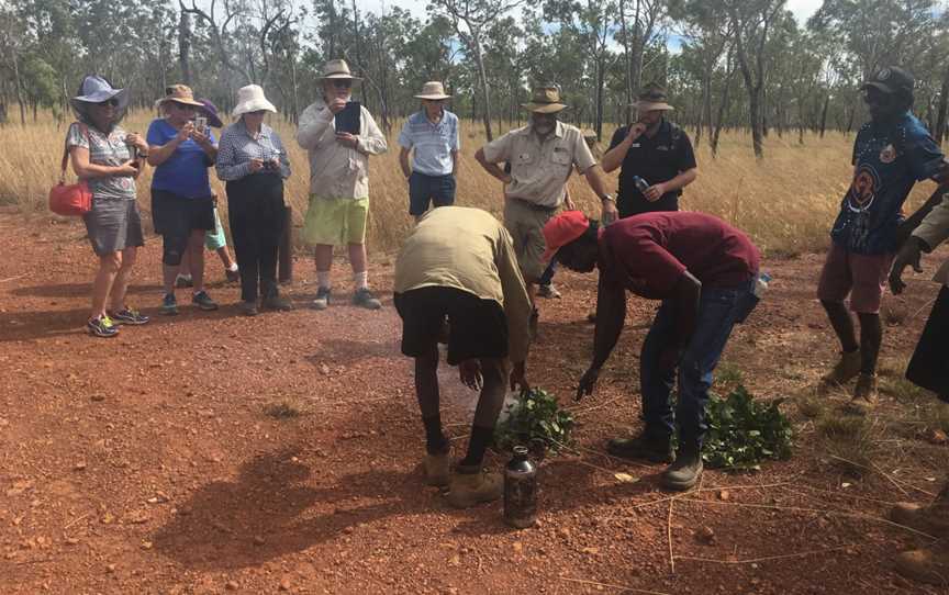 Munurru Guided Rock Art Tours, Mitchell Plateau, WA