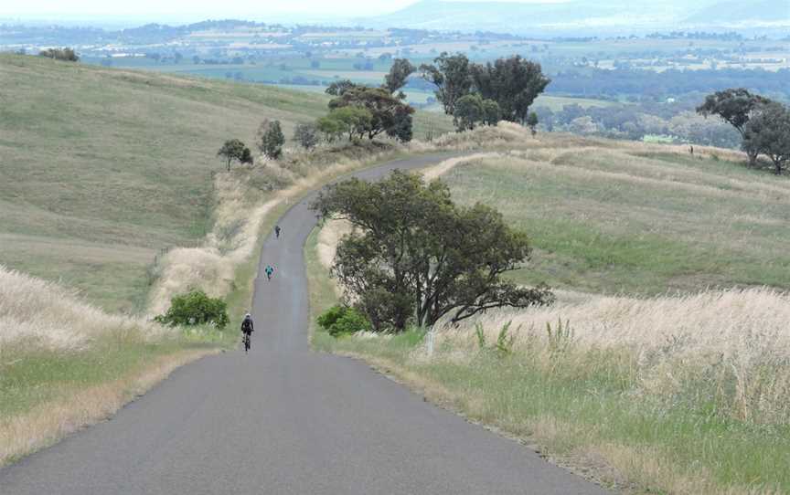 Bespoke Cycle Tours, Orange, NSW