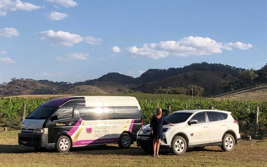 Mudgee VIP Wine Tours, Mudgee, NSW