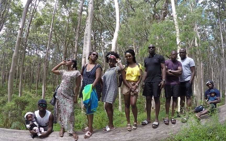 Exploring the majestic Boranup Forest