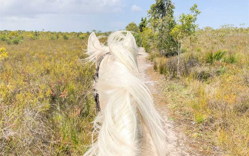 Equathon, Noosa North Shore, QLD